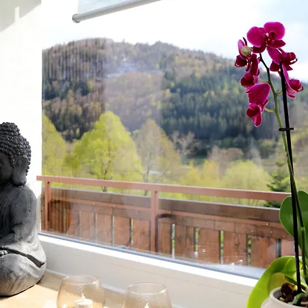 Sonnenblick Balkony - Wifi - New & Modern - - Niedersfeld Appartement