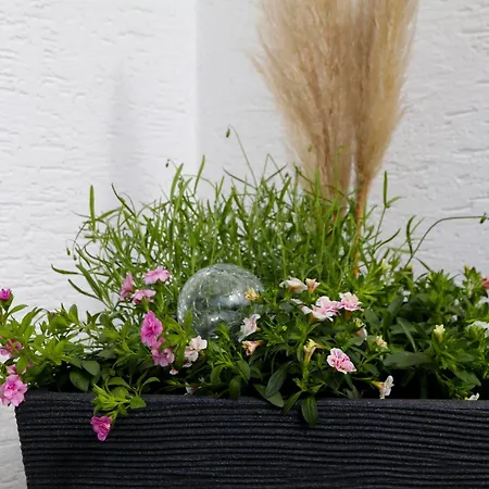 Sonnenblick Balkony - Wifi - New & Modern - - Niedersfeld * 빈터베르크