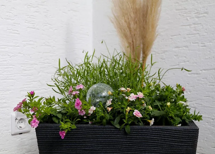 Sonnenblick Balkony - Wifi - New & Modern - - Niedersfeld * Winterberg